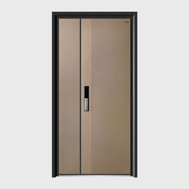 FS-1063 Modern High-end Entrance Doors