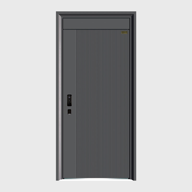 P52 Modern High-end Entrance Doors