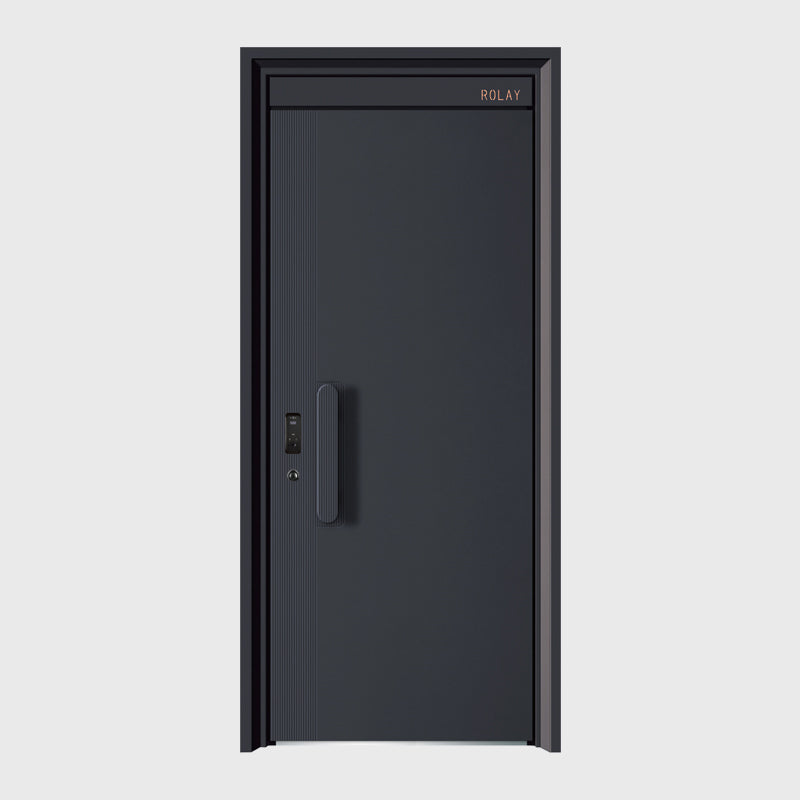 P50 Modern High-end Entrance Doors