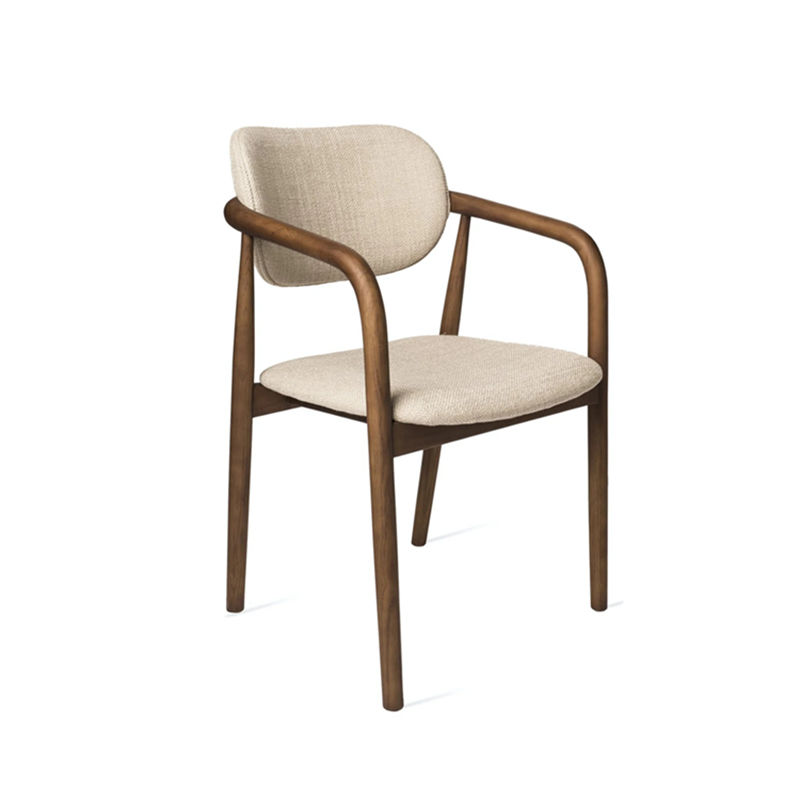 DMCY907 Leisure Armchair