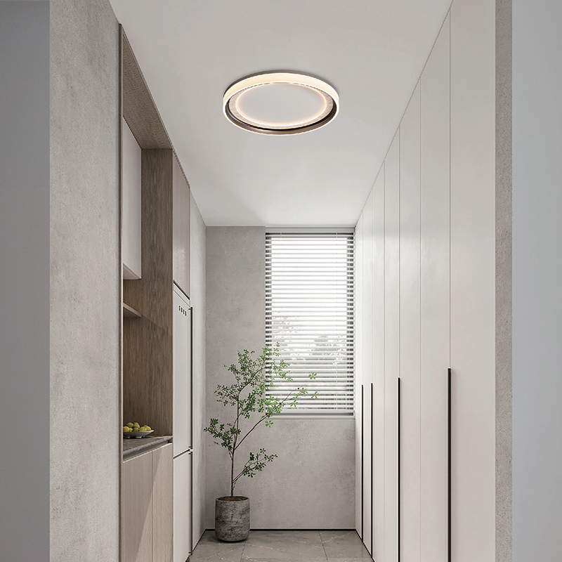 Yueying Simple Ceiling Lamps