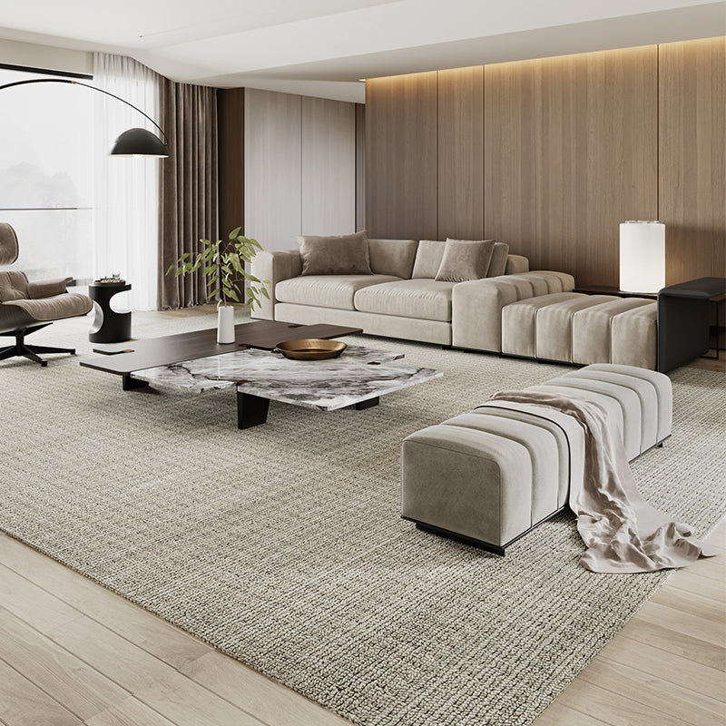 DT22-AA Antibacterial And Deodorizing Carpets