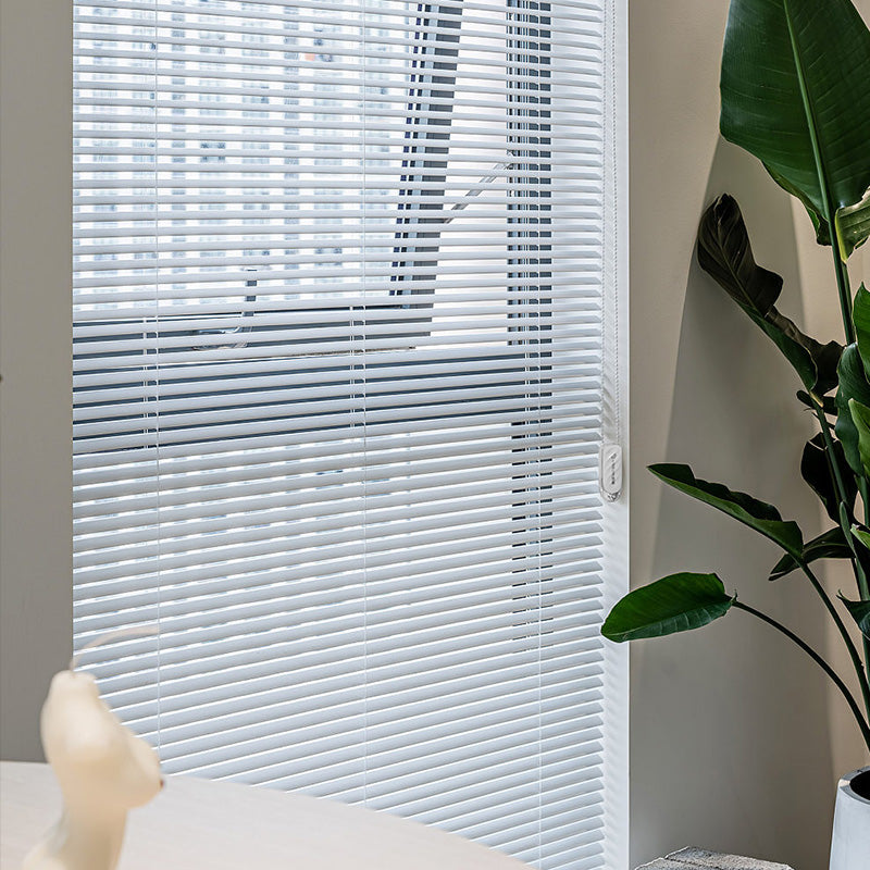 CL-001 Modern And Simple Blind Curtains