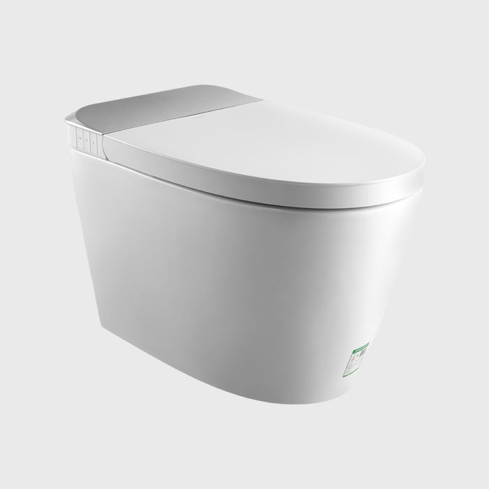 1100070625 Modern Smart Toilets