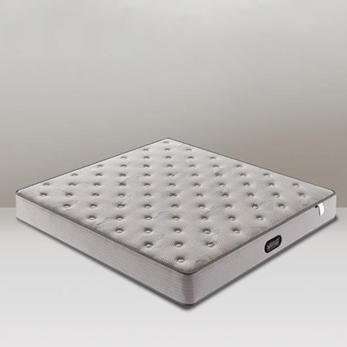 BSQCJ04 Natural Latex Spring Mattresses