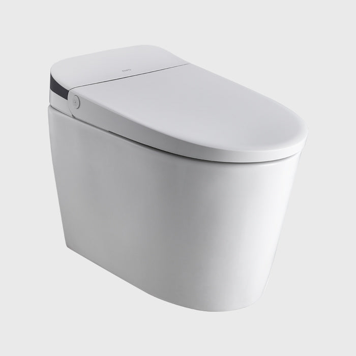 1100065594 Modern Smart Toilets