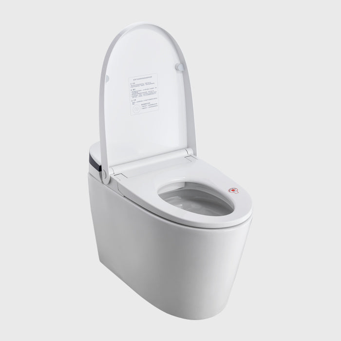 1100065594 Modern Smart Toilets