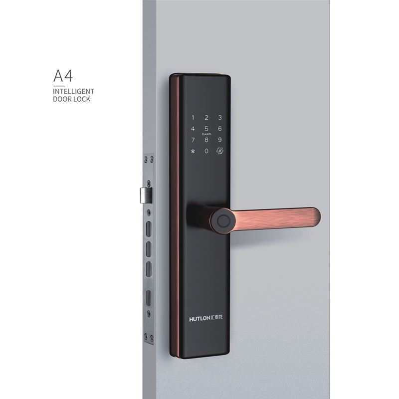 A4 Modern Intelligent Door Locks