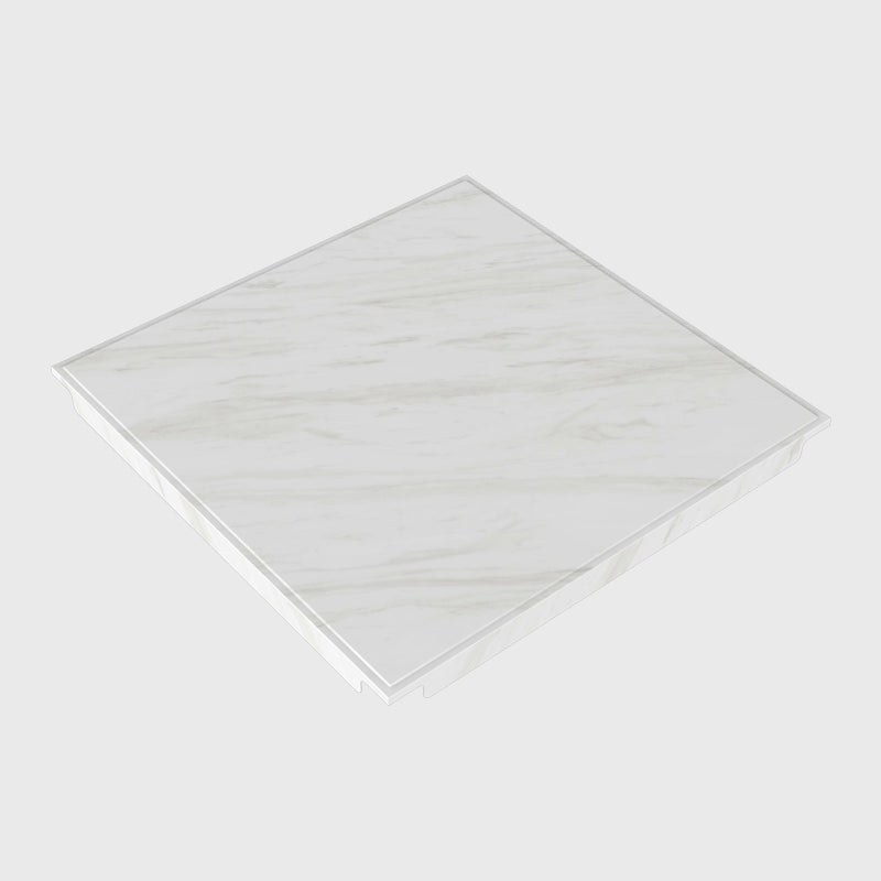 雪峰現代鋁製天花板板材