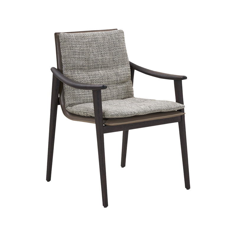 CW31019 Modern Dining Chairs