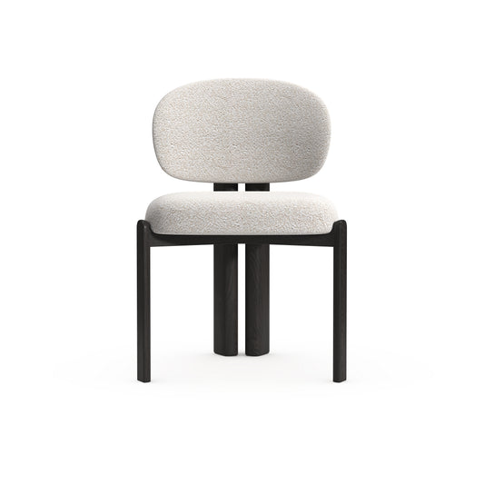 SF3022 Modern Dining Chairs