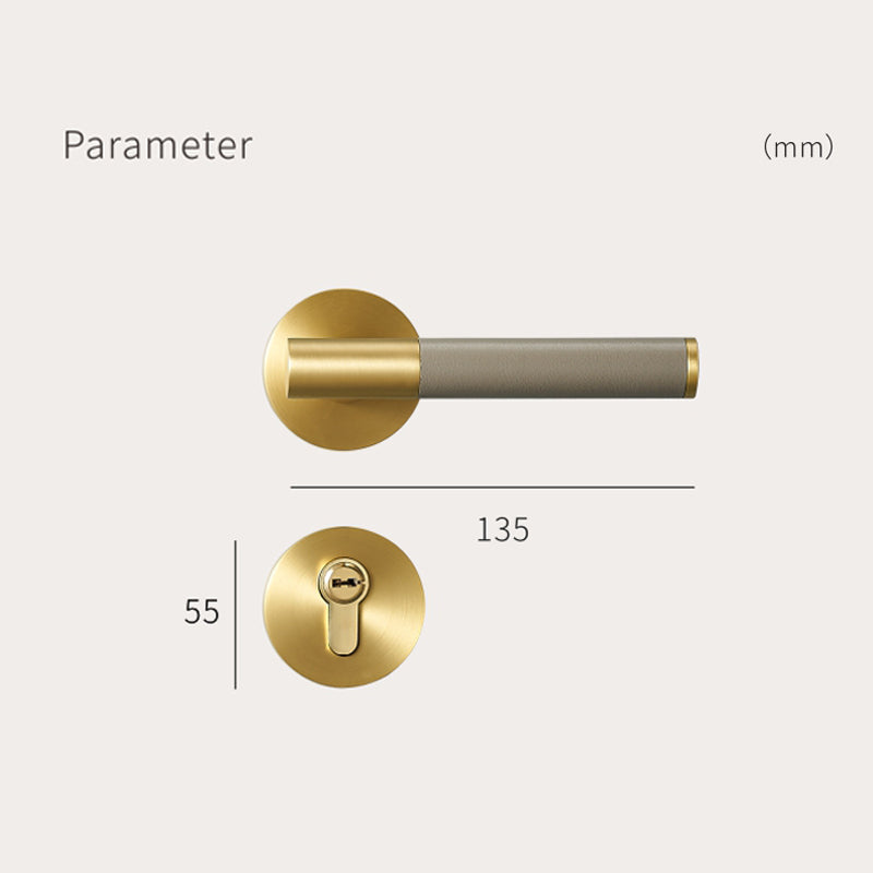 A308B-223-SB Modern Regular Door Locks