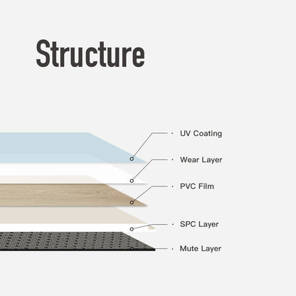 B557 Modern SPC Flooring