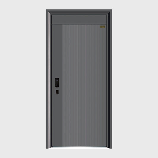 P52 Modern High-end Entrance Doors