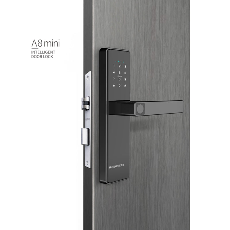 A8mini Modern Intelligent Door Locks