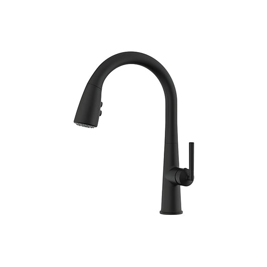 VGR569181PA Modern Pull-out Faucets