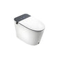 ZCM763AW Modern  Intelligent Toilets