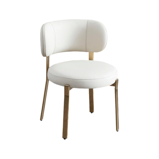 JJ-Y329 Modern Dining Chairs