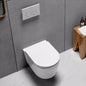 AB2170H Modern Ceramic Traditional Toilets