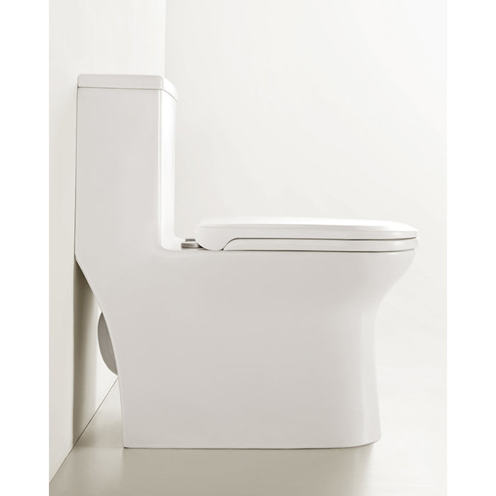 1100055351 Modern Traditional Toilets