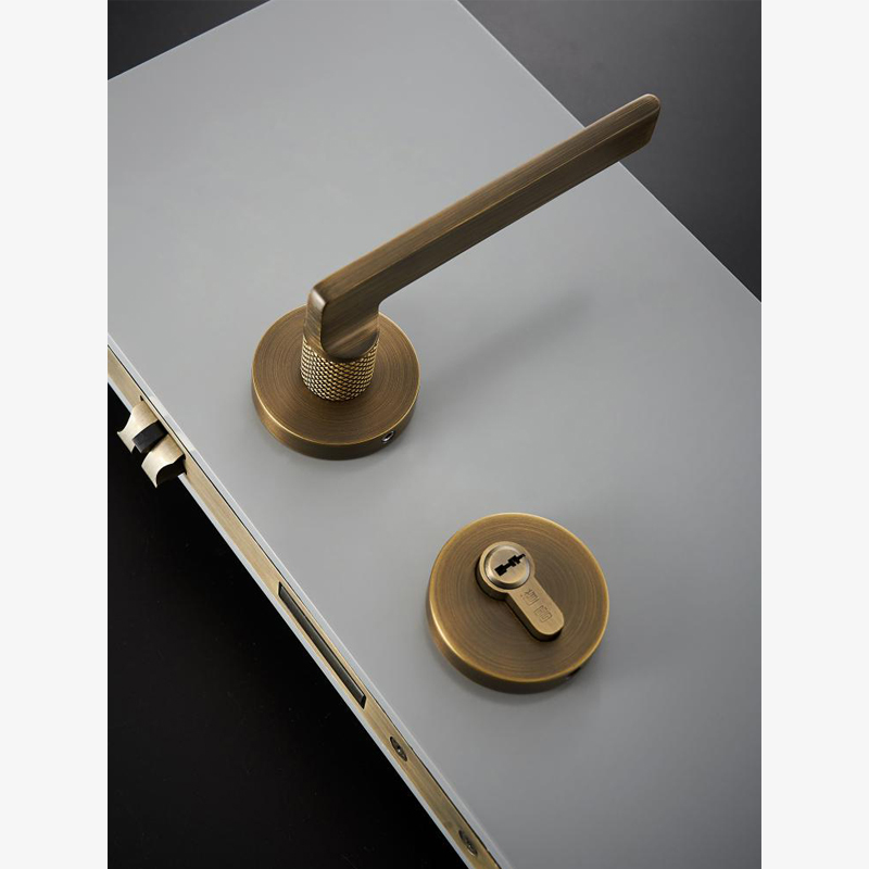 A308B-Z213 Modern Regular Door Locks