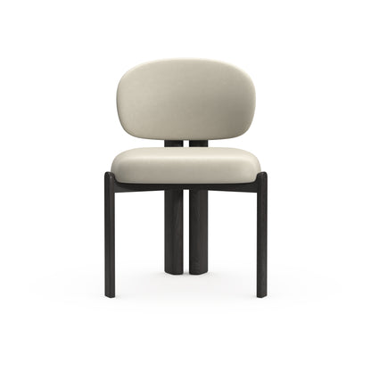 SF3022 Modern Dining Chairs