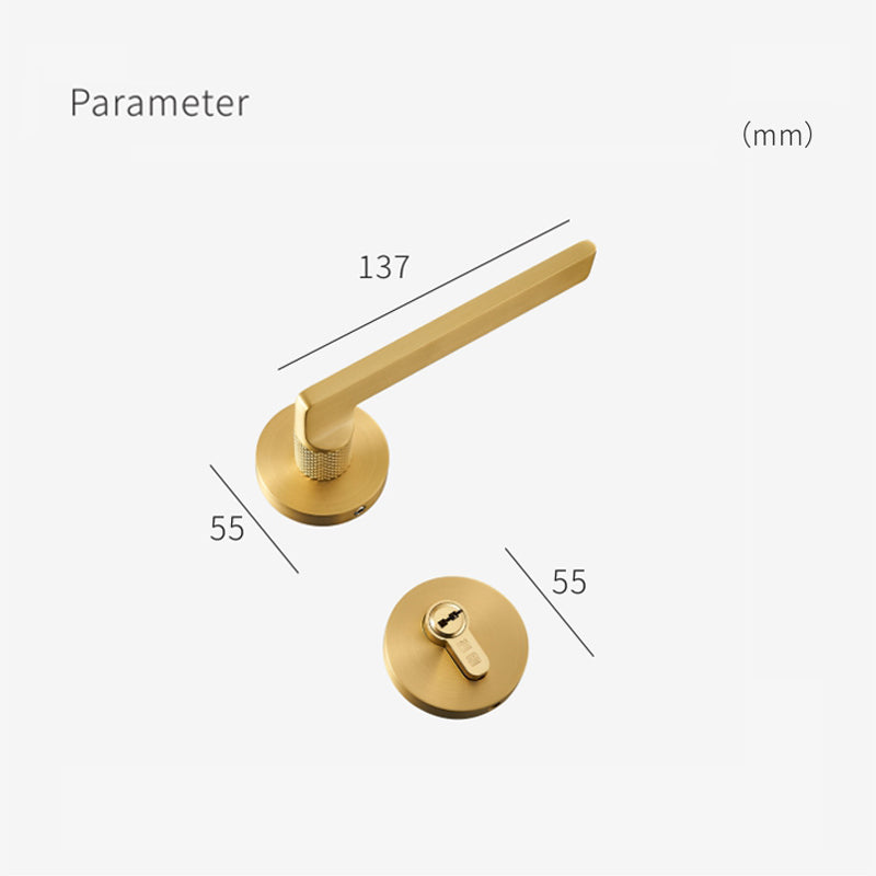 A308B-Z213 Modern Regular Door Locks