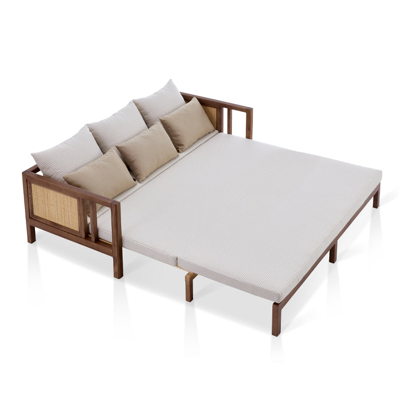 2020S-D03/C Modern Folding Sofa Bed