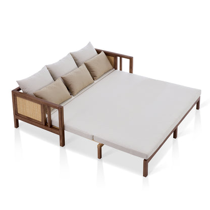 2020S-D03/C Modern Folding Sofa Bed