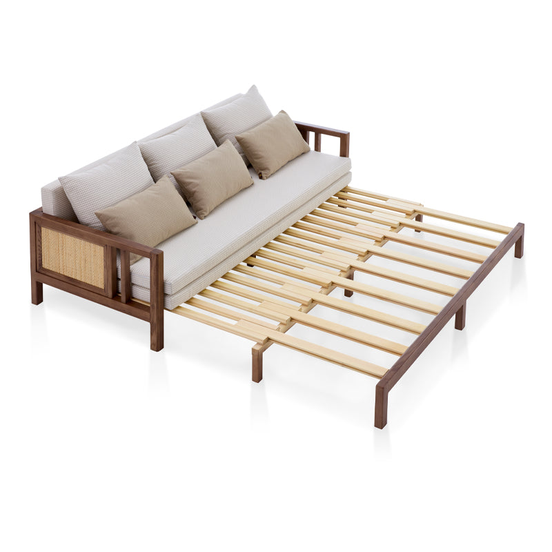 2020S-D03/C Modern Folding Sofa Bed