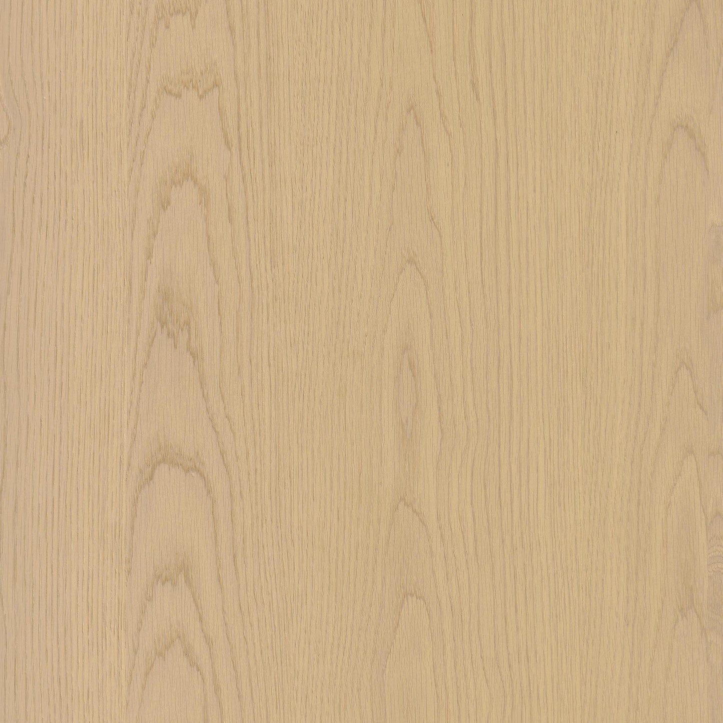 T129ES 現代實木貼皮板