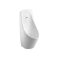 CX025BW Modern Auto-induction Urinals