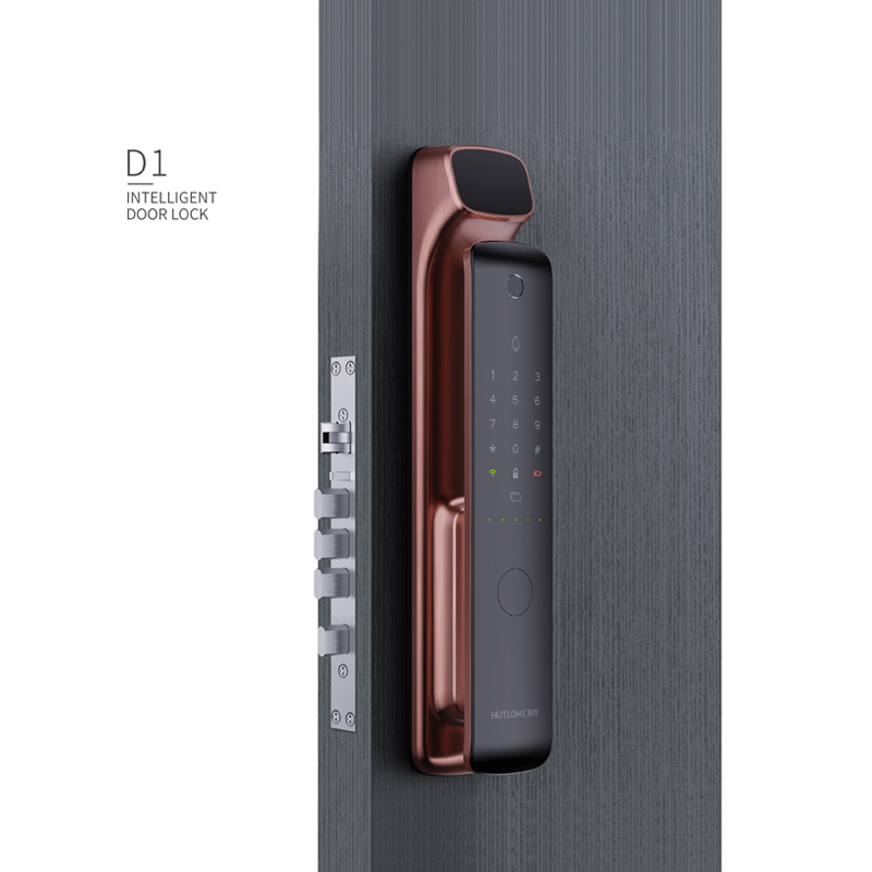 D1Pro Modern Intelligent Door Locks