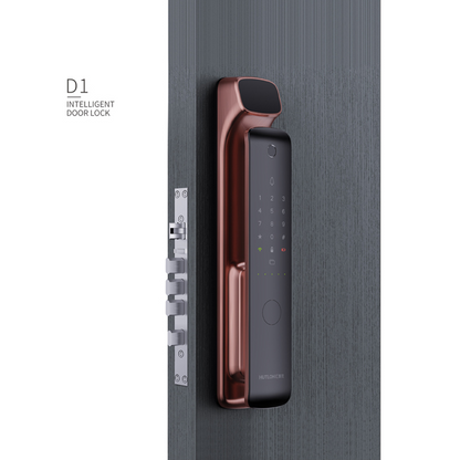 D1Pro Modern Intelligent Door Locks