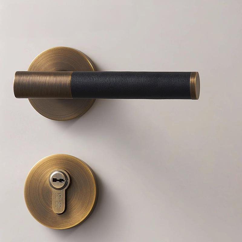 A308B-223-AB Modern Regular Door Locks