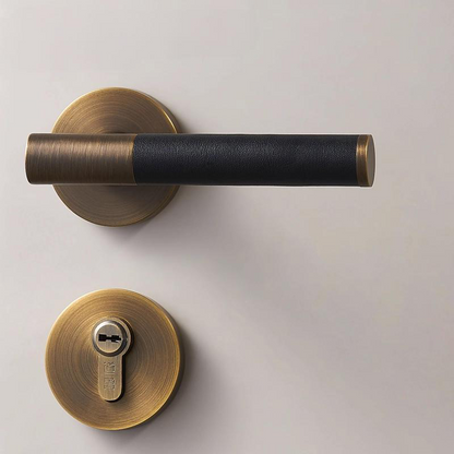 A308B-223-AB Modern Regular Door Locks