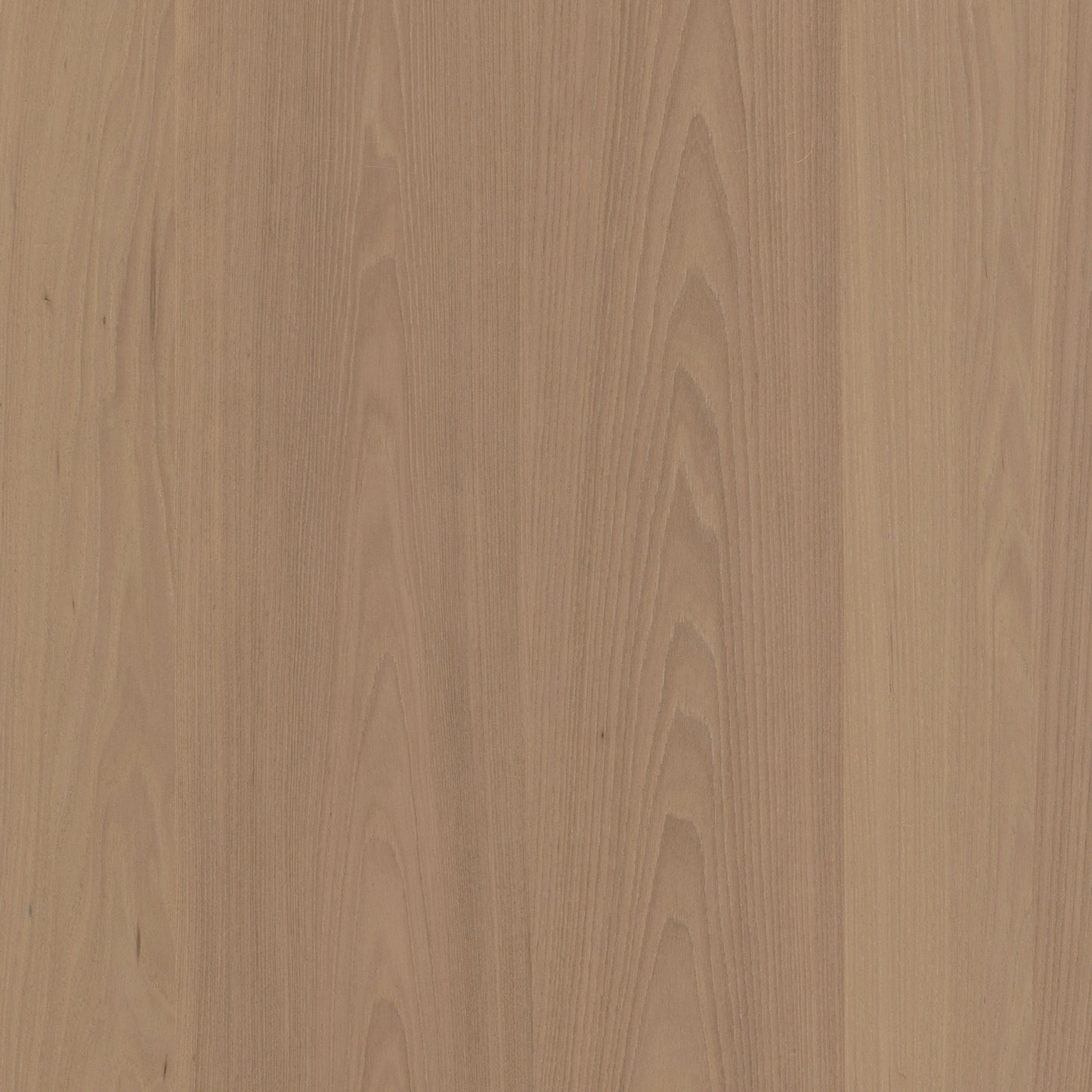 T176DS 現代實木貼皮面板