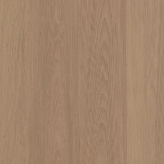 T176DS 現代實木貼皮面板