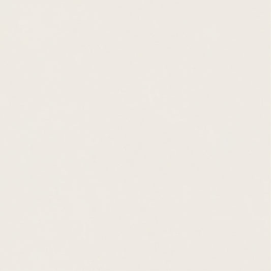 กระเบื้องสีพื้นเรียบทันสมัย ​​CH8798