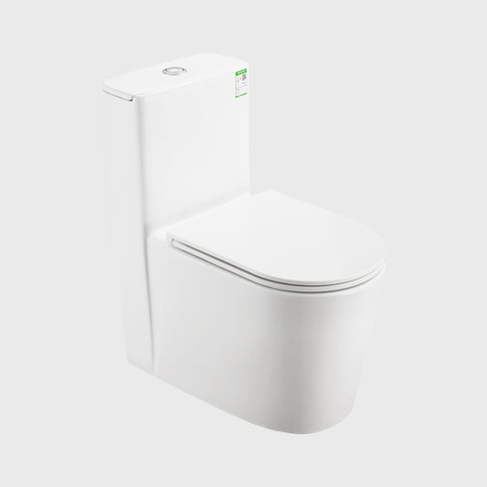 1100056111 Modern Traditional Toilets