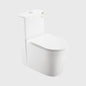 1100056111 Modern Traditional Toilets
