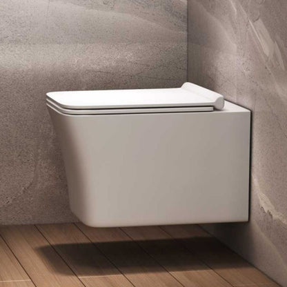 CM113CWH Modern  Regular Toilets