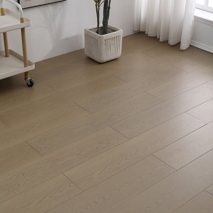 8625 Modern Solid Wood Floor