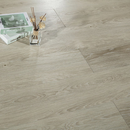 2010C1 Modern SPC Flooring