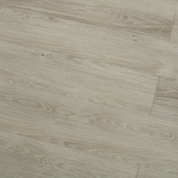 2010C1 Modern SPC Flooring