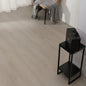60109 Modern SPC Flooring