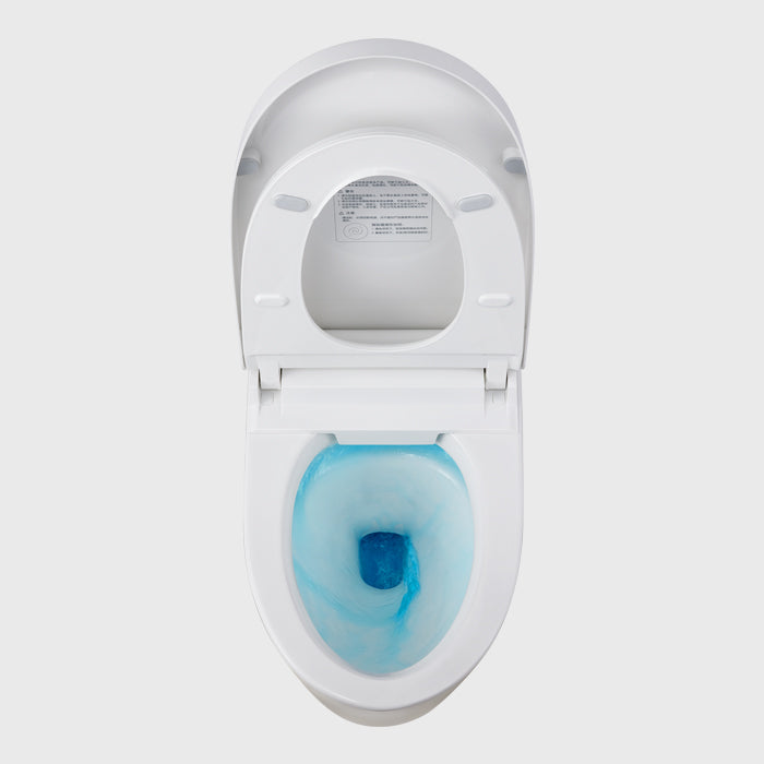 1100065594 Modern Smart Toilets