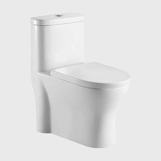 SC21349 Modern Traditional Toilets