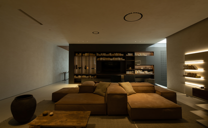 CS1020 Modern Sectional Sofas