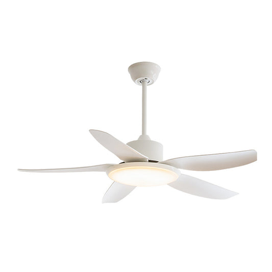 9664 Modern Ceiling Fans